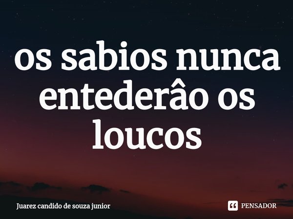 ⁠os sabios nunca entederâo os loucos... Frase de Juarez candido de souza junior.