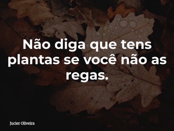 Não diga que tens plantas se você não as regas.... Frase de Jucier Oliveira.