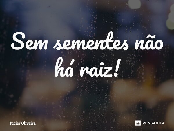 ⁠Sem sementes não há raiz!... Frase de Jucier Oliveira.