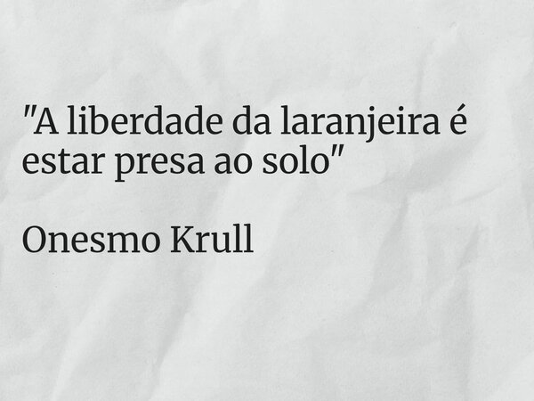 "A liberdade da laranjeira é estar presa ao solo" Onesmo Krull... Frase de Julia Ferreira.