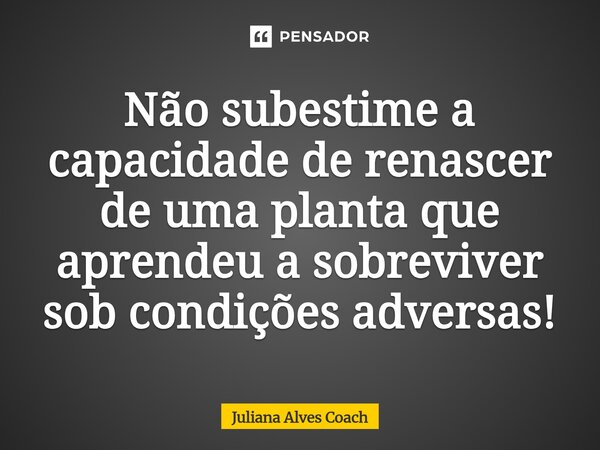 ⁠Não subestime a capacidade de renascer de uma planta que aprendeu a sobreviver sob condições adversas!... Frase de Juliana Alves Coach.