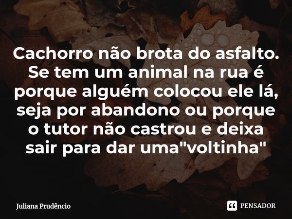 ⁠Cachorro não brota do asfalto. Se tem um animal na rua é porque alguém colocou ele lá, seja por abandono ou porque o tutor não castrou e deixa sair para dar um... Frase de Juliana Prudêncio.