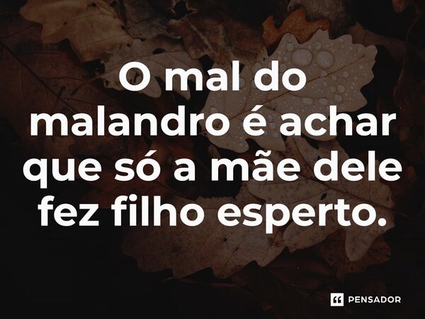 O mal do malandro é achar que só a mãe dele fez filho esperto.