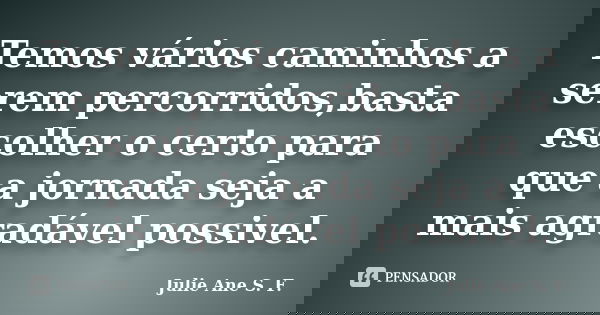 Temos vários caminhos a serem percorridos,basta escolher o certo para que a jornada seja a mais agradável possivel.... Frase de Julie Ane S. F..