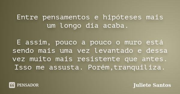 Entre pensamentos e hipóteses mais um longo dia acaba. E assim, pouco a pouco o muro está sendo mais uma vez levantado e dessa vez muito mais resistente que ant... Frase de Juliete Santos.