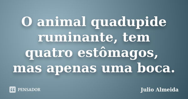 O animal quadupide ruminante, tem quatro estômagos, mas apenas uma boca.... Frase de Julio Almeida.