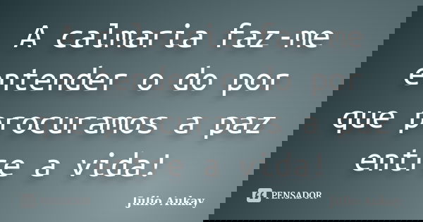 A calmaria faz-me entender o do por que procuramos a paz entre a vida!... Frase de Julio Aukay.