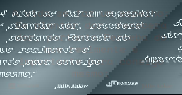 A vida se faz um espelho: Se plantar dor, receberá dor, portanto Perceba do que realmente é importante para consigo mesmo;... Frase de Julio Aukay.