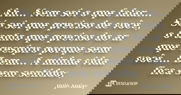 Ah... Nem sei o que falar... Só sei que preciso de você, o tanto que preciso do ar que respiro porque sem você... Bem... A minha vida fica sem sentido;... Frase de Julio Aukay.