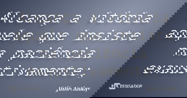 Alcança a vitória aquele que insiste na paciência exaustivamente;... Frase de Julio Aukay.