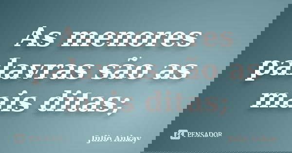 As menores palavras são as mais ditas;... Frase de Julio Aukay.