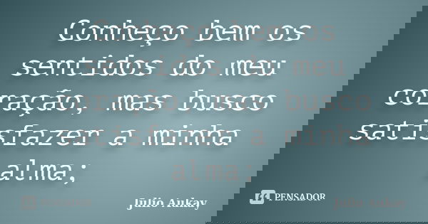 Conheço bem os sentidos do meu coração, mas busco satisfazer a minha alma;... Frase de Julio Aukay.