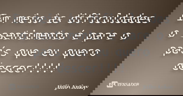 Em meio às dificuldades o sentimento é pare o país que eu quero descer!!!!... Frase de Julio Aukay.