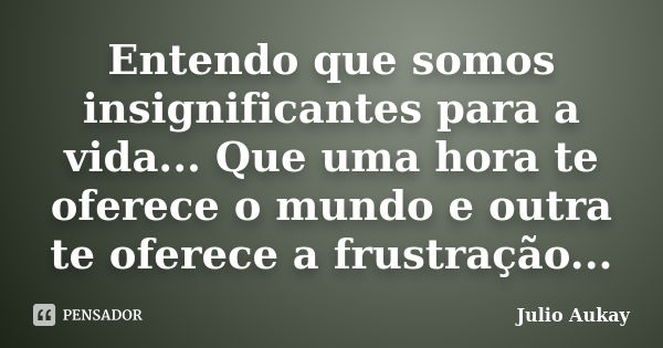 Entendo que somos insignificantes para a vida... Que uma hora te oferece o mundo e outra te oferece a frustração...... Frase de Julio Aukay.