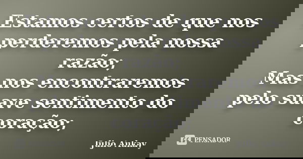 Estamos certos de que nos perderemos pela nossa razão; Mas nos encontraremos pelo suave sentimento do coração;... Frase de julio Aukay.