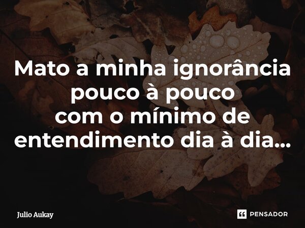 ⁠ Mato a minha ignorância pouco à pouco com o mínimo de entendimento dia à dia...... Frase de Julio Aukay.
