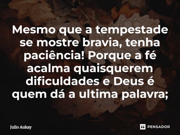 ⁠Mesmo que a tempestade se mostre bravia, tenha paciência! Porque a fé acalma quaisquerem dificuldades e Deus é quem dá a ultima palavra;... Frase de Julio Aukay.