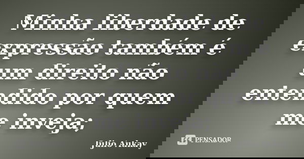 Minha liberdade de expressão também é um direito não entendido por quem me inveja;... Frase de Julio Aukay.