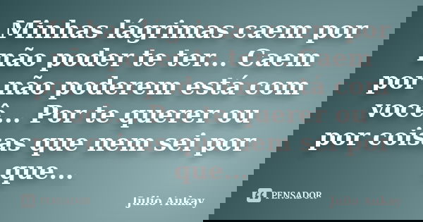 Minhas lágrimas caem por não poder te ter... Caem por não poderem estar com você... Por te querer ou por coisas que nem sei por que...... Frase de Julio Aukay.