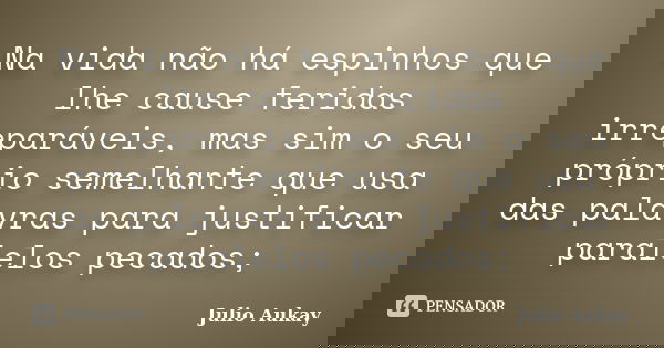 Na vida não há espinhos que lhe cause feridas irreparáveis, mas sim o seu próprio semelhante que usa das palavras para justificar paralelos pecados;... Frase de Julio Aukay.