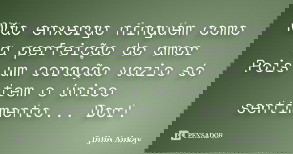 Não enxergo ninguém como a perfeição do amor Pois um coração vazio só tem o único sentimento... Dor!... Frase de Julio Aukay.