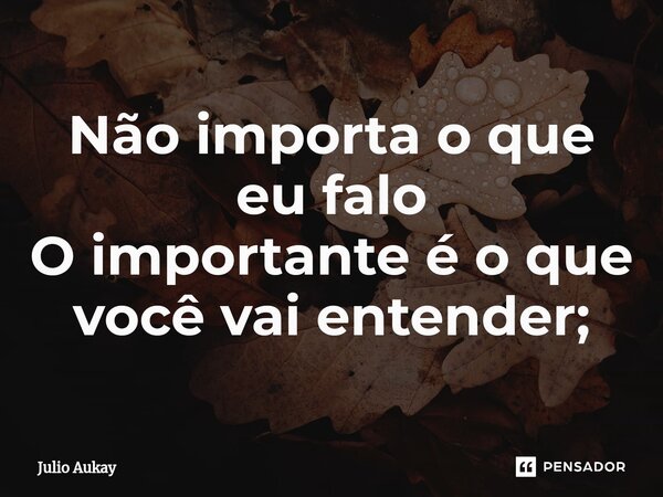 ⁠Não importa o que eu falo O importante é o que você vai entender;... Frase de Julio Aukay.