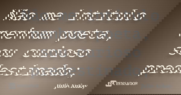 Não me intitulo nenhum poeta, sou curioso predestinado;... Frase de Julio Aukay.