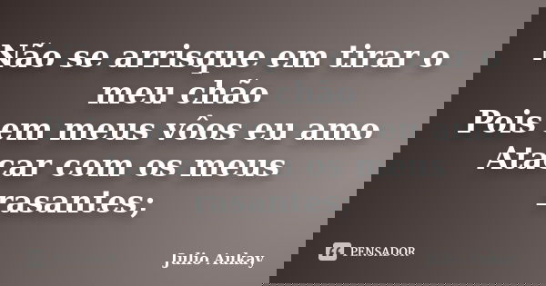 Não se arrisque em tirar o meu chão Pois em meus vôos eu amo Atacar com os meus rasantes;... Frase de Julio Aukay.