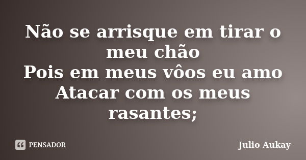 Não se arrisque em tirar o meu chão Pois em meus vôos eu amo Atacar com os meus rasantes;... Frase de Julio Aukay.