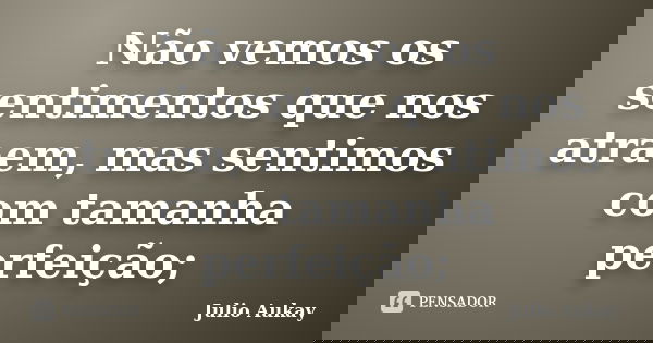Não vemos os sentimentos que nos atraem, mas sentimos com tamanha perfeição;... Frase de Julio Aukay.