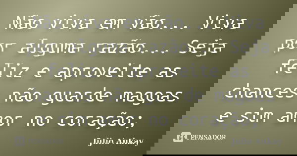 Não viva em vão... Viva por alguma razão... Seja feliz e aproveite as chances não guarde magoas e sim amor no coração;... Frase de Julio Aukay.