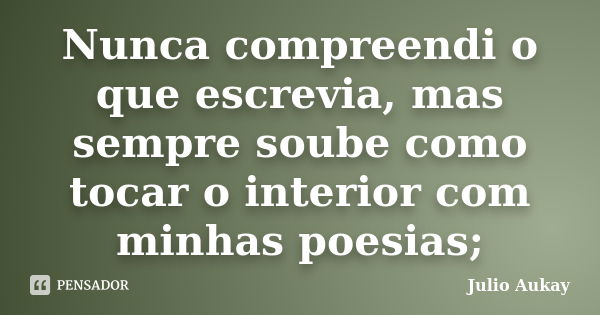 Nunca compreendi o que escrevia, mas sempre soube como tocar o interior com minhas poesias;... Frase de Julio Aukay.