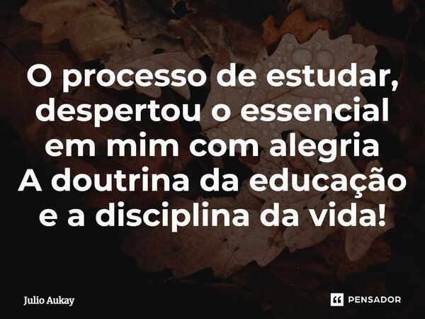 ⁠O processo de estudar, despertou o essencial em mim com alegria A doutrina da educação e a disciplina da vida!... Frase de Julio Aukay.