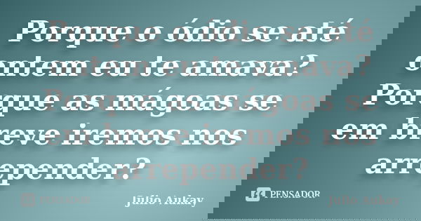Porque o ódio se até ontem eu te amava? Porque as mágoas se em breve iremos nos arrepender?... Frase de Julio Aukay.
