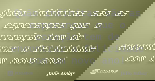 Quão infinitas são as esperanças que o coração tem de encontrar a felicidade com um novo ano!... Frase de Julio Aukay.