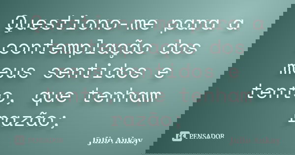 Questiono-me para a contemplação dos meus sentidos e tento, que tenham razão;... Frase de Julio Aukay.