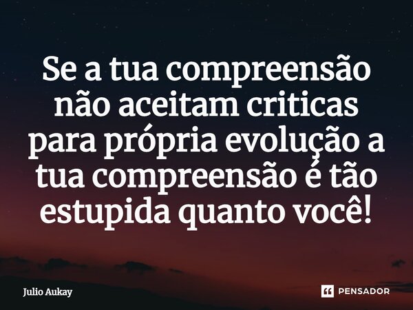 ⁠Se a tua compreensão não aceitam criticas para própria evolução a tua compreensão é tão estupida quanto você!... Frase de Julio Aukay.
