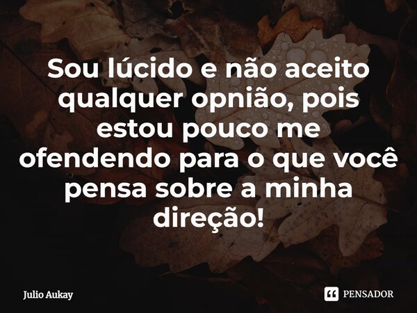 ⁠Sou lúcido e não aceito qualquer opnião, pois estou pouco me ofendendo para o que você pensa sobre a minha direção!... Frase de Julio Aukay.