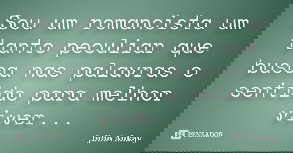 Sou um romancista um tanto peculiar que busca nas palavras o sentido para melhor viver...... Frase de Julio Aukay.