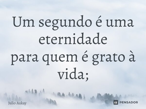 ⁠Um segundo é uma eternidade para quem é grato à vida;... Frase de Julio Aukay.