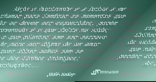 Vejo o horizonte e a brisa a me chamar para lembrar os momentos que não se devem ser esquecidos, porém compreensão é o que falta na vida; Colher o que plantei s... Frase de Julio Aukay.