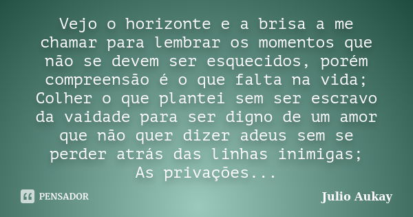 Vejo o horizonte e a brisa a me chamar para lembrar os momentos que não se devem ser esquecidos, porém compreensão é o que falta na vida; Colher o que plantei s... Frase de Julio Aukay.