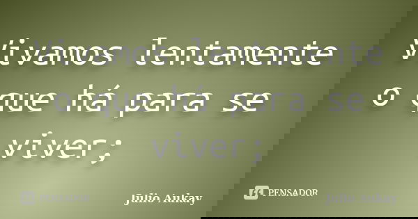 Vivamos lentamente o que há para se viver;... Frase de julio Aukay.