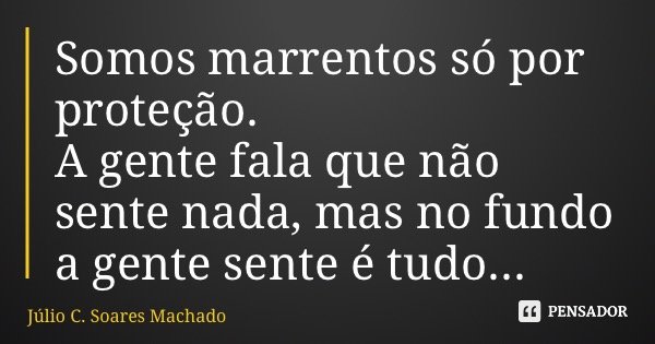 Somos marrentos só por proteção. A gente fala que não sente nada, mas no fundo a gente sente é tudo...... Frase de Júlio C. Soares Machado.