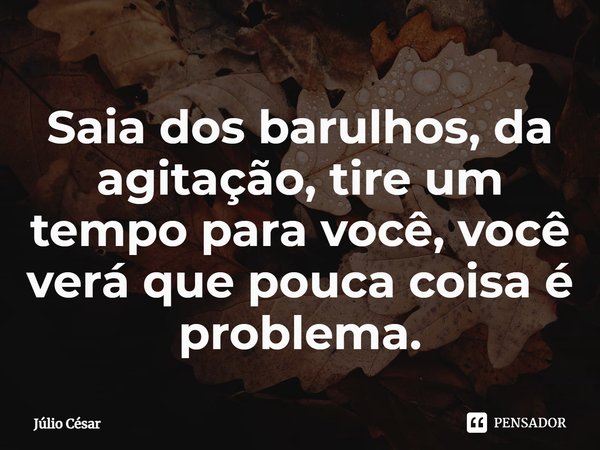 Saia dos barulhos, da agitação, tire um tempo para você, você verá que pouca coisa é problema.... Frase de Júlio César.