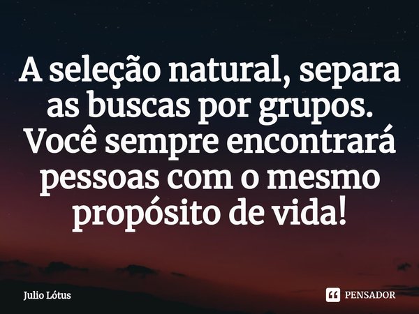 ⁠A seleção natural, separa as buscas por grupos. Você sempre encontrará pessoas com o mesmo propósito de vida!... Frase de Julio Lótus.