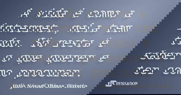 A vida é como a internet, nela tem tudo. Só resta é saber o que querer e ter como procurar.... Frase de Julio Novadi Dimas Teixeira.