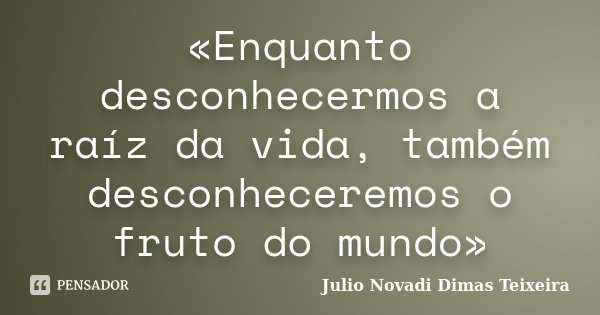 «Enquanto desconhecermos a raíz da vida, também desconheceremos o fruto do mundo»... Frase de Julio Novadi Dimas Teixeira.