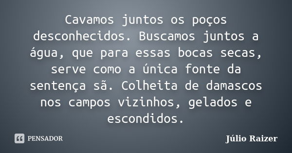 Cavamos juntos os poços desconhecidos. Buscamos juntos a água, que para essas bocas secas, serve como a única fonte da sentença sã. Colheita de damascos nos cam... Frase de Júlio Raizer.