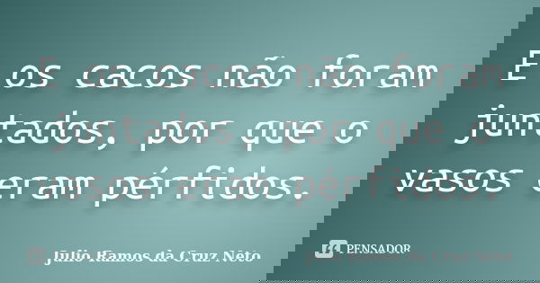 E os cacos não foram juntados, por que o vasos eram pérfidos.... Frase de Julio Ramos da Cruz Neto.